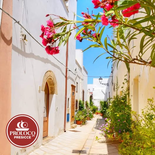 Vico San Giorgio - Presicce